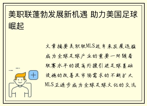 美职联蓬勃发展新机遇 助力美国足球崛起